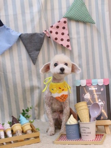 20250518レオンくん